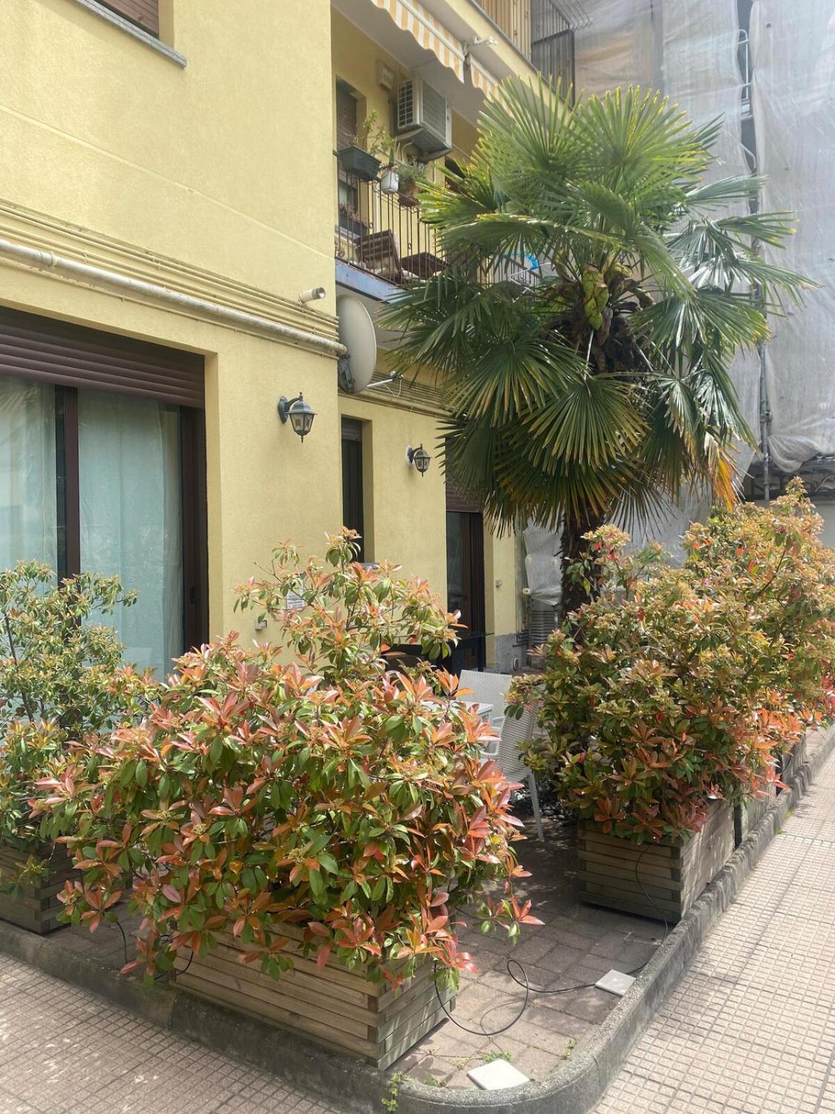 Apartment Artist S 80 Mq With Garden And Palm Tree